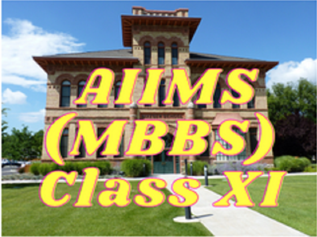 AIIMS MBBS (Biology, Physics, Chemistry) - Class XI